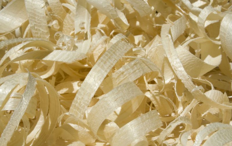 Livestock Comfort with Shavings